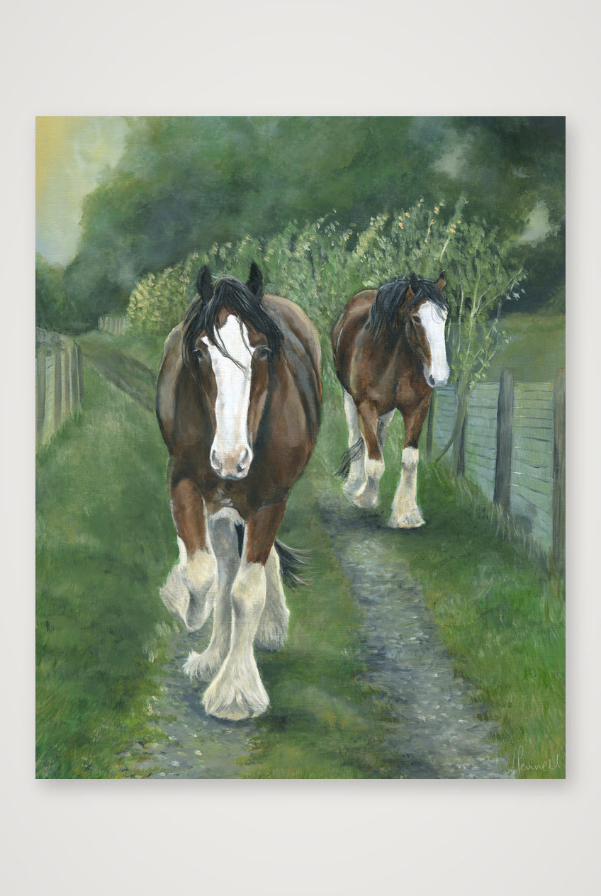 Meandering — 41×51cm, 16×20" Print only