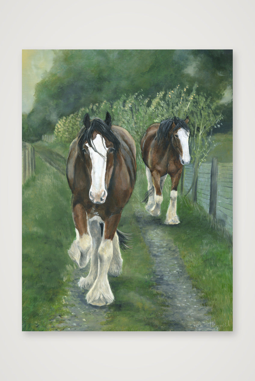 Meandering — 30×41cm, 12×16" Print only