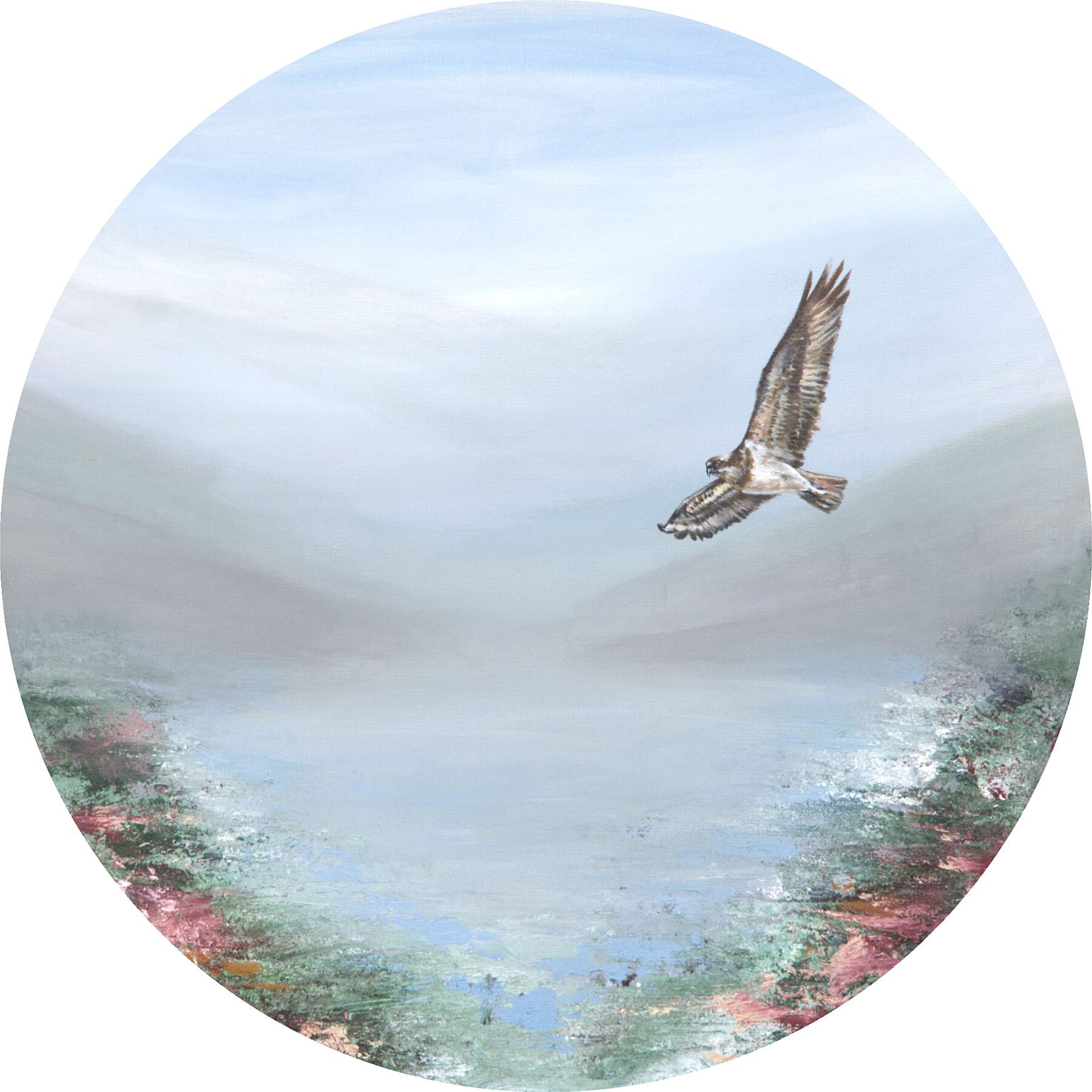 Osprey flying over a landscape with trees and water