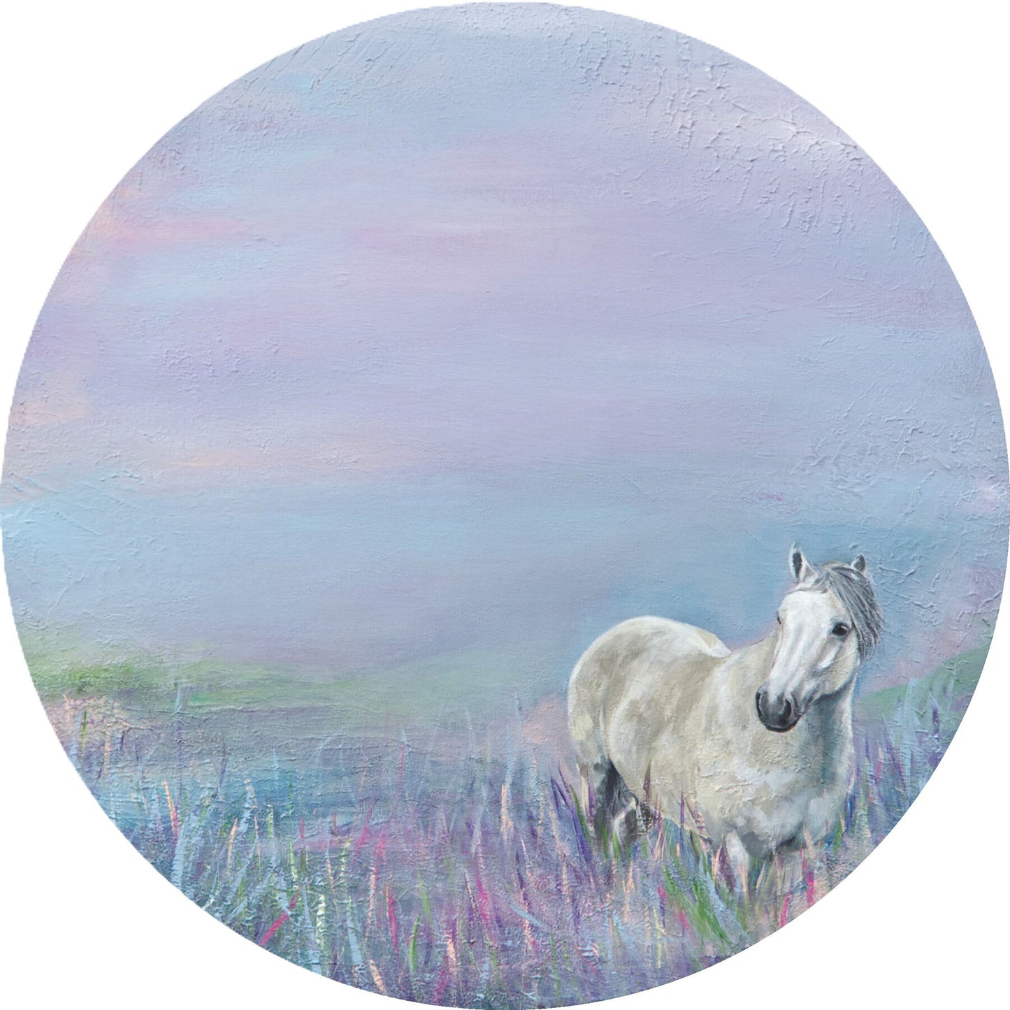 White horse in a field with a pastel sky