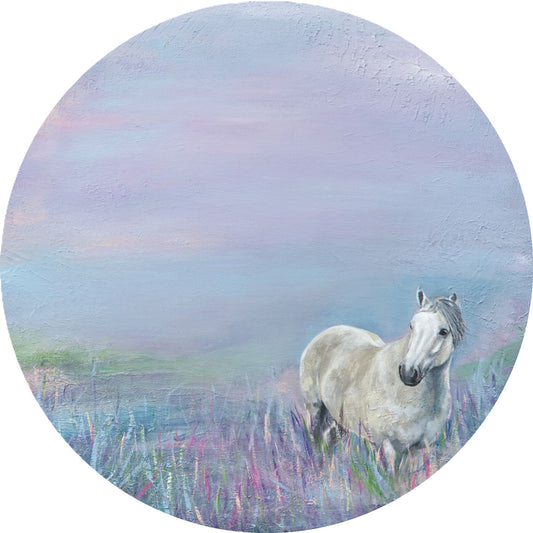 White horse in a field with a pastel sky