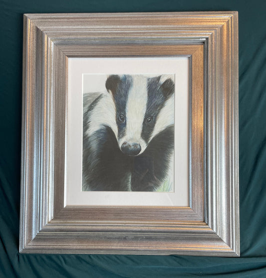 Badger Framed Print