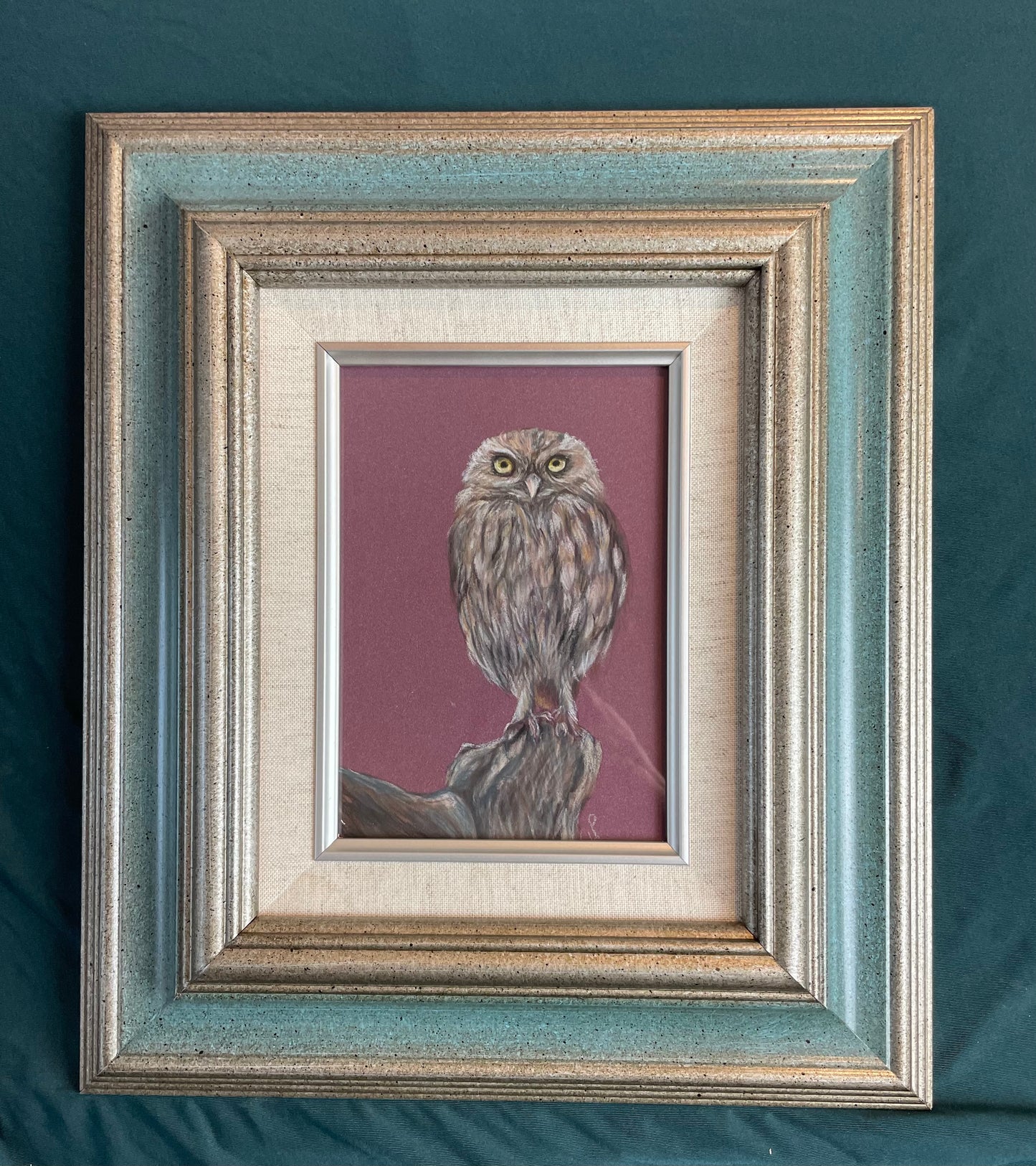 Little Owl Original Pastel pencil