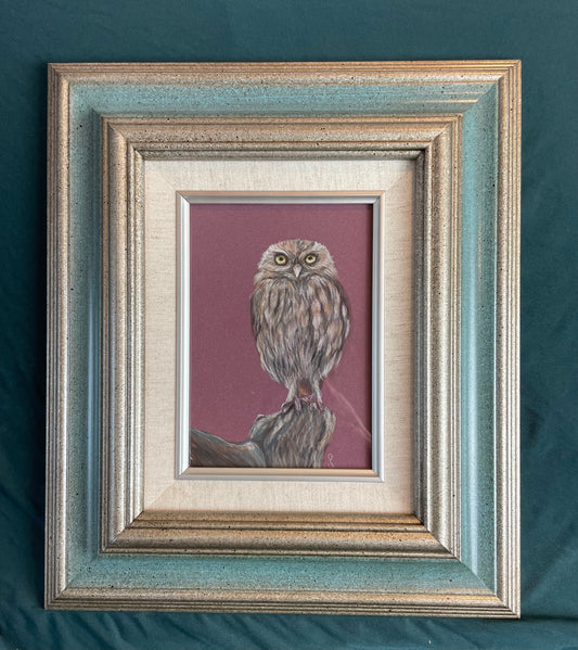 Little Owl Original Pastel pencil