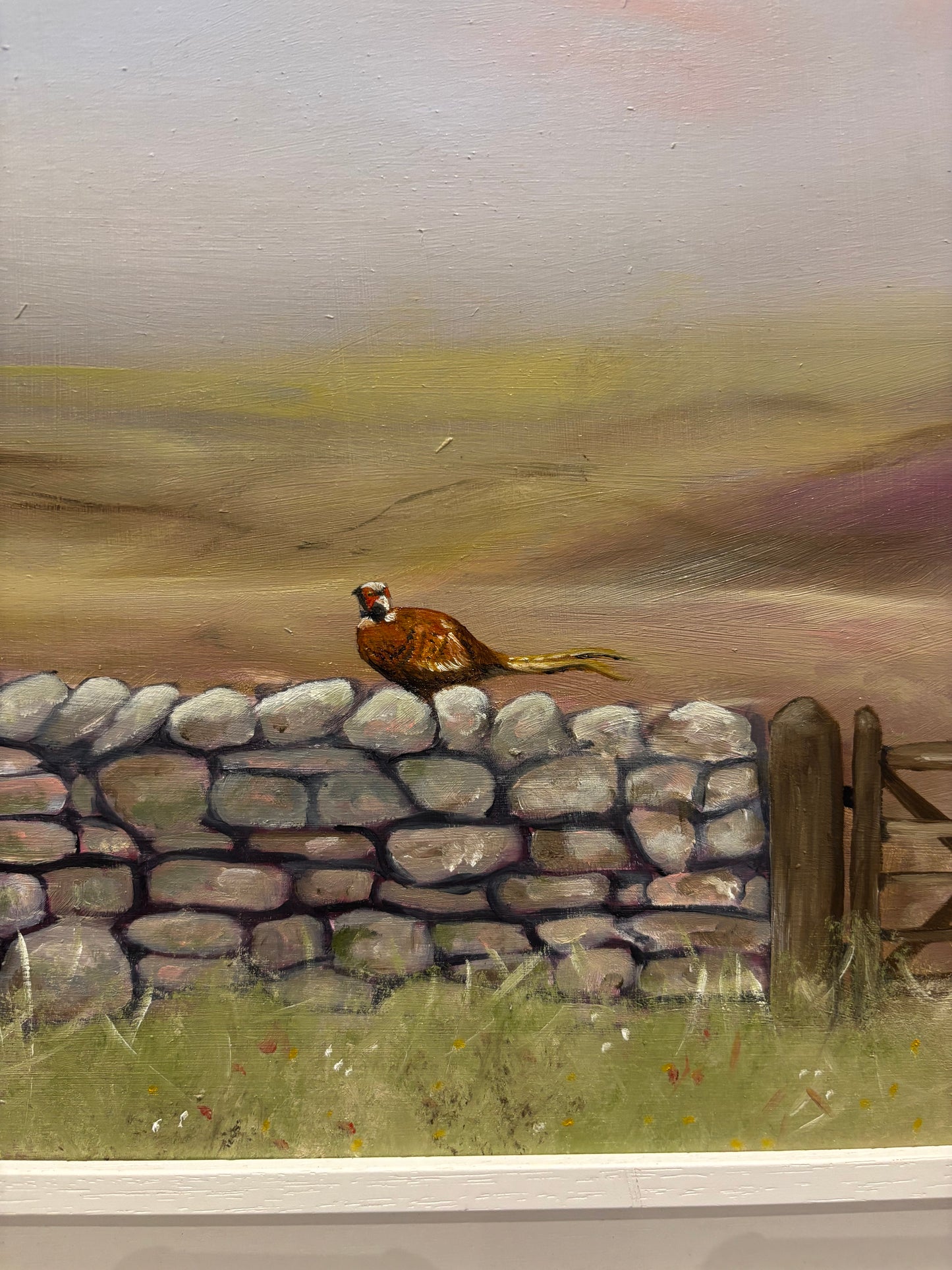 Painting close up of a Pheasant on a stone wall 