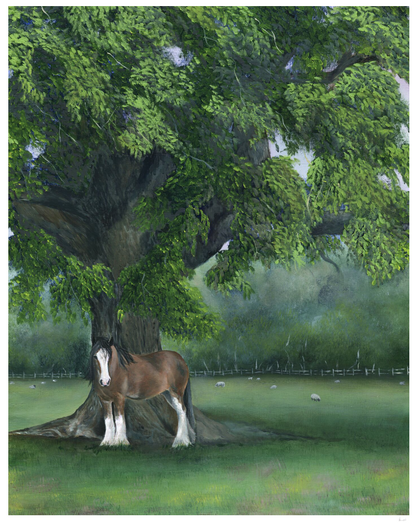 Under the Oak | Fine Art Print