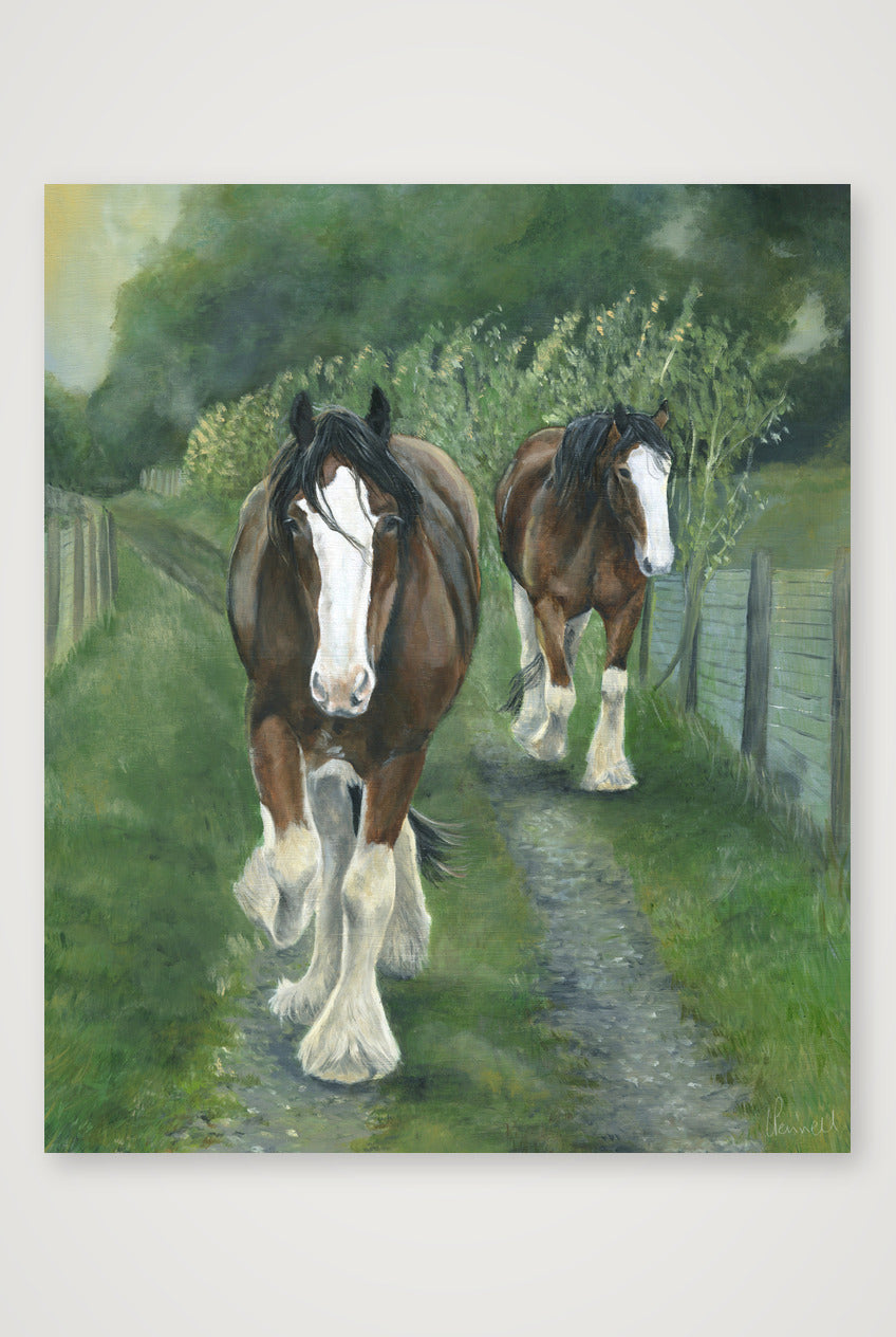 Meandering — 25×30cm, 10×12" Print only